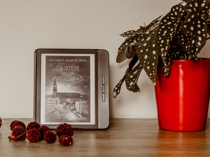 Review van het boek De stilte van de witte stad